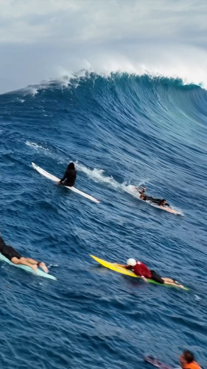 surf
