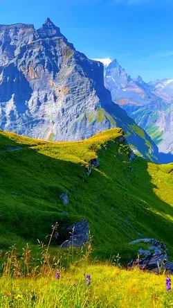 Find peace in nature