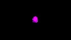 Watermark for a frie