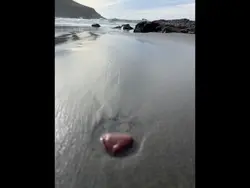 Beach Life
