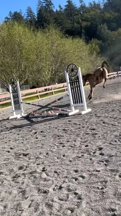 Tryna cover his trip