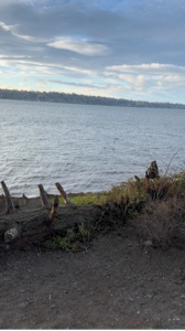 Bike clips