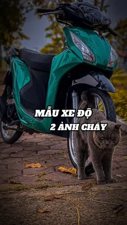 Mẫu Xe Độ 