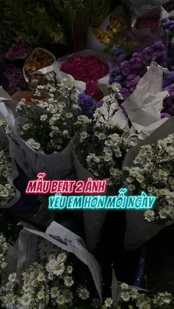 MẪU BEAT 2 ẢNH