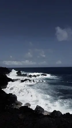 Slowmo x filter