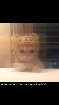 잠시만요! 사진 찍어드릴게요!