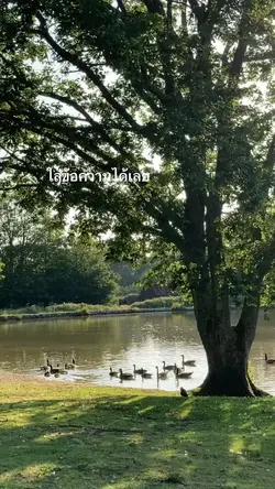 แจกคลิป