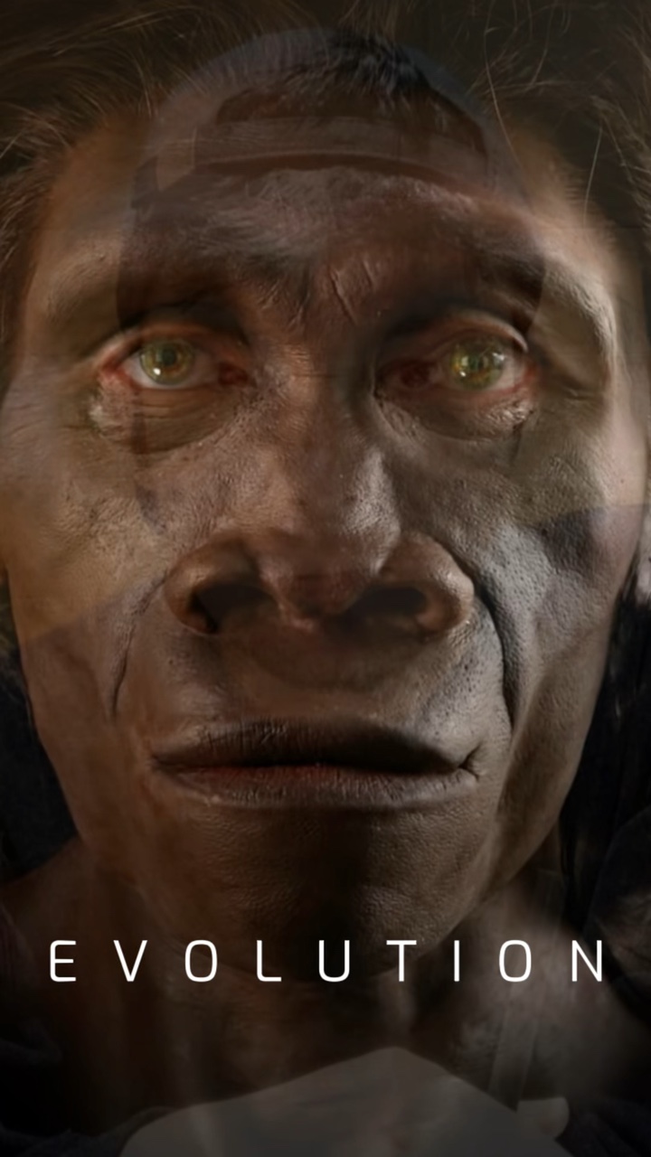 Evolución Humana