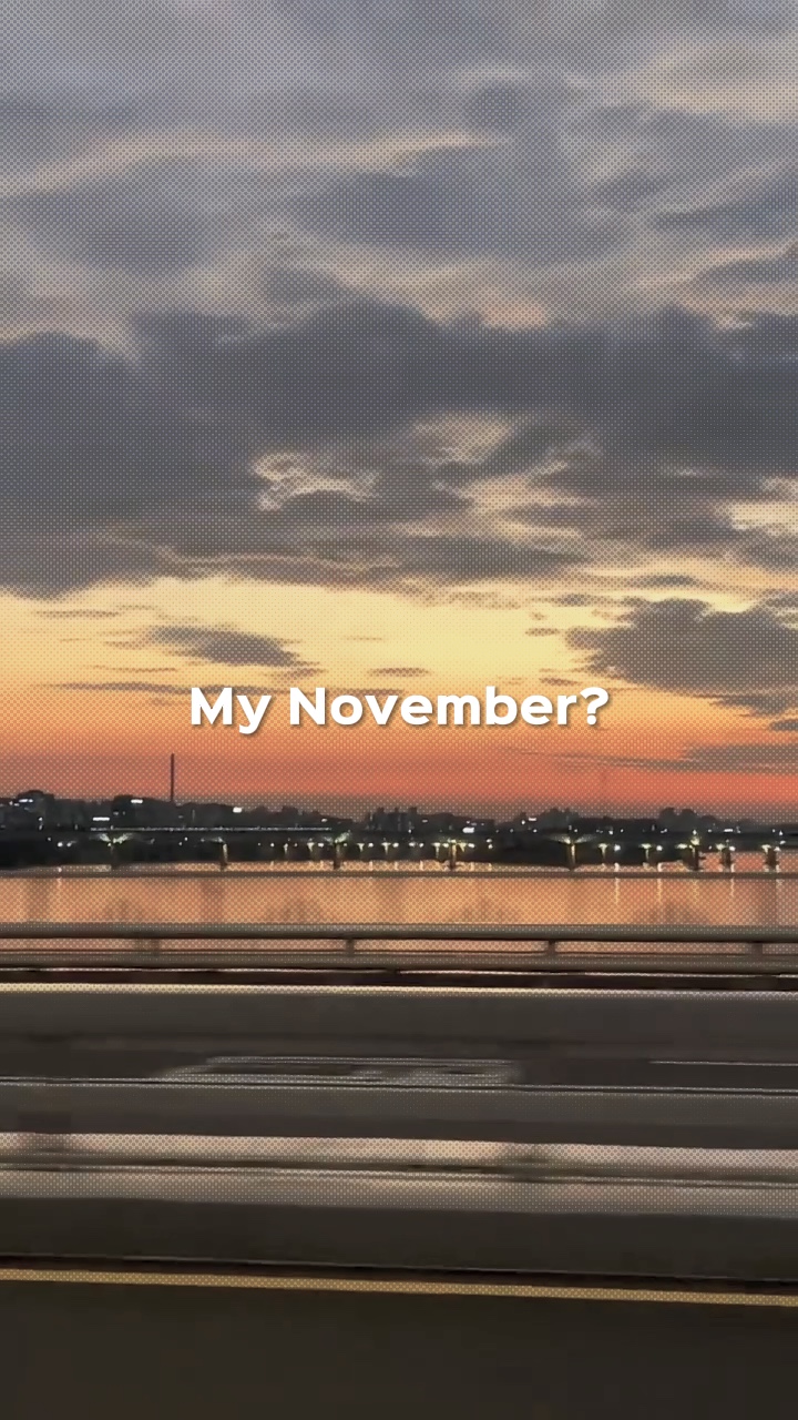 Mi noviembre