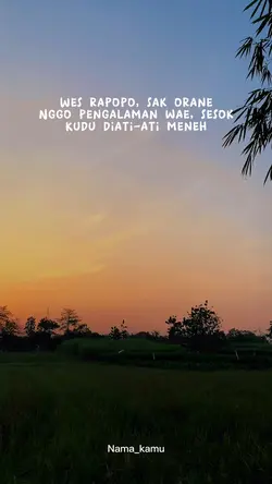 Story wa