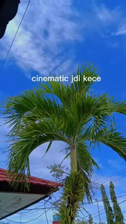 sound kene poll