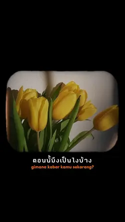 quotes Thailand