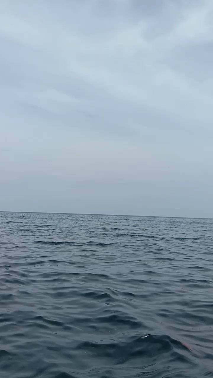 Laut