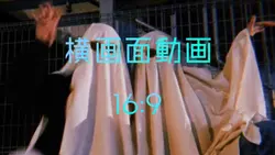 横画面面白い時などに!!