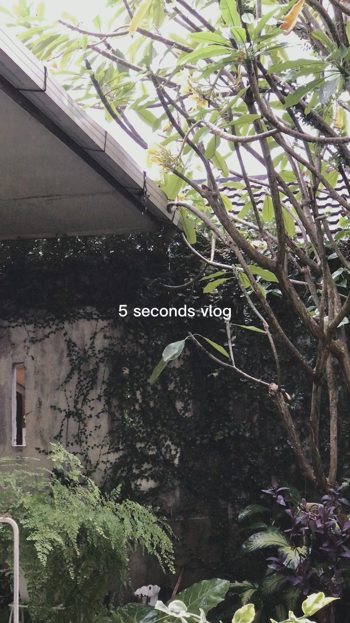5 SECONDES VLOG