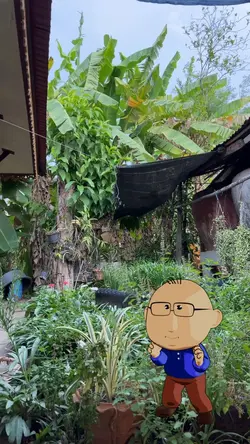 [นายตัวกลม]เต้นๆ