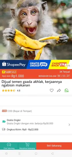 jual temen no akhlak