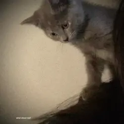 what about me?