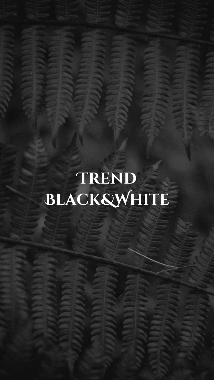 Trend Schwarz Weiß