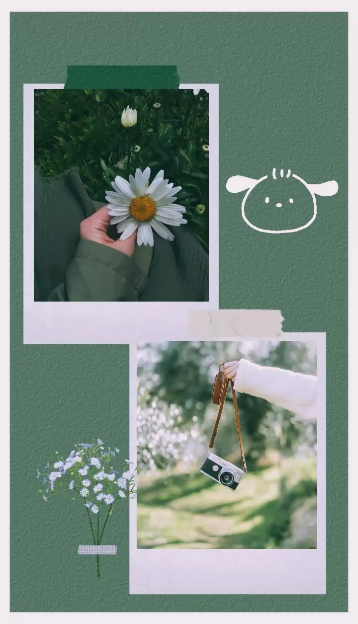 frame