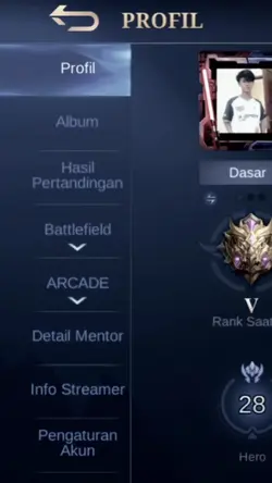 Profil Akun ML