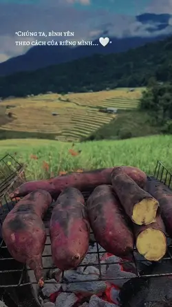cap bình yên & màu 