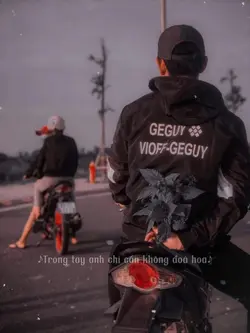 lyrics Hoa bằng lăng