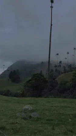 mumpung masih bujang