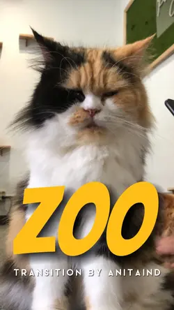 ZOO