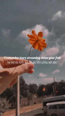 Safe & Sound lyric