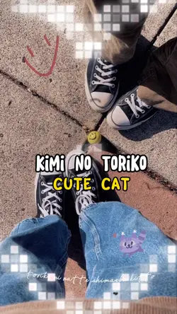 Kimi no toriko 