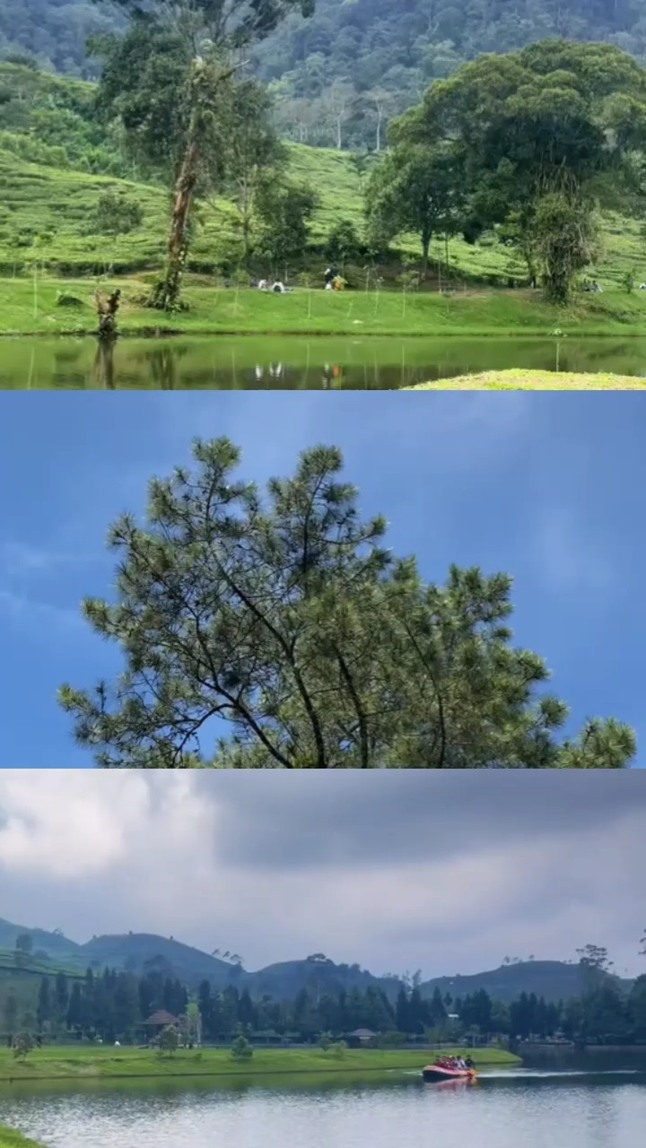 vidéo frame 3