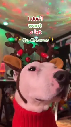 Happy Christmas