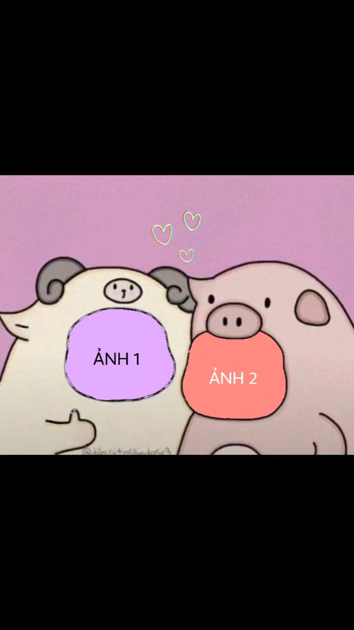 Mẫu 2 ảnh cute