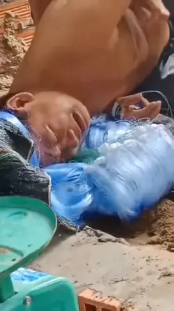 mẫu troll
