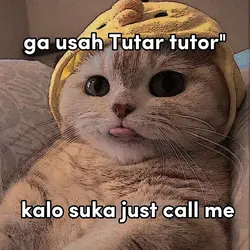 jj 1:1