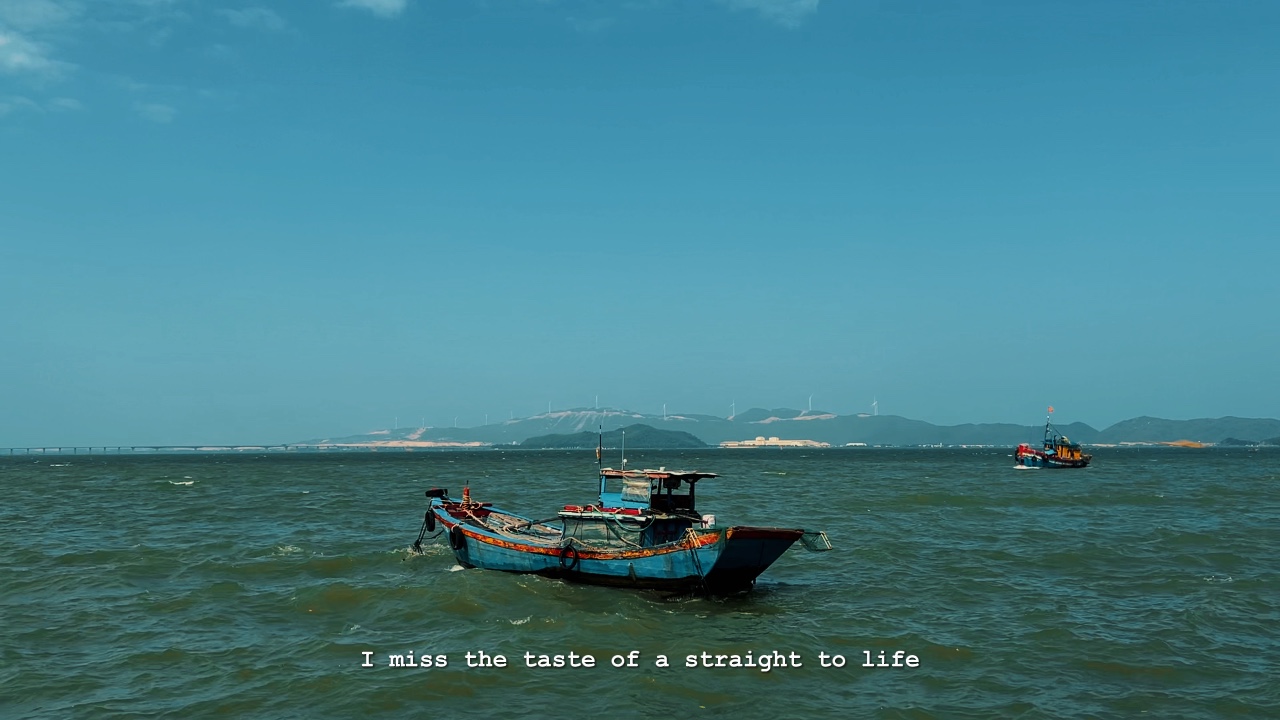 진정해🌊⛵