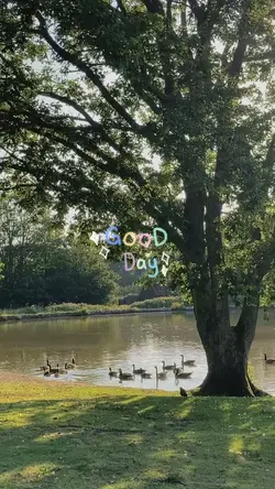 Filter Aesthetic
