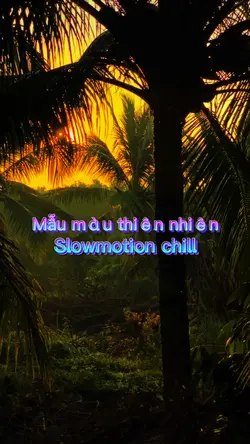 Mẫu màu thiên nhiên