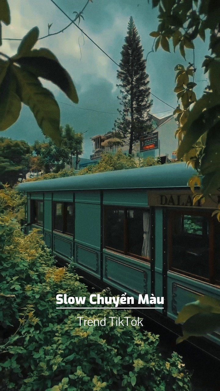 Lento Chuyn Màu🐹