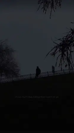 echo - alexander s