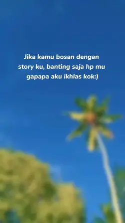 story WhatsApp