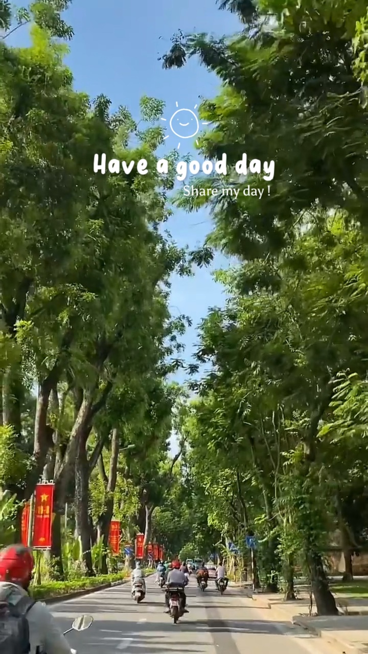 Vlog diário