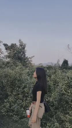 Cinematic Transision