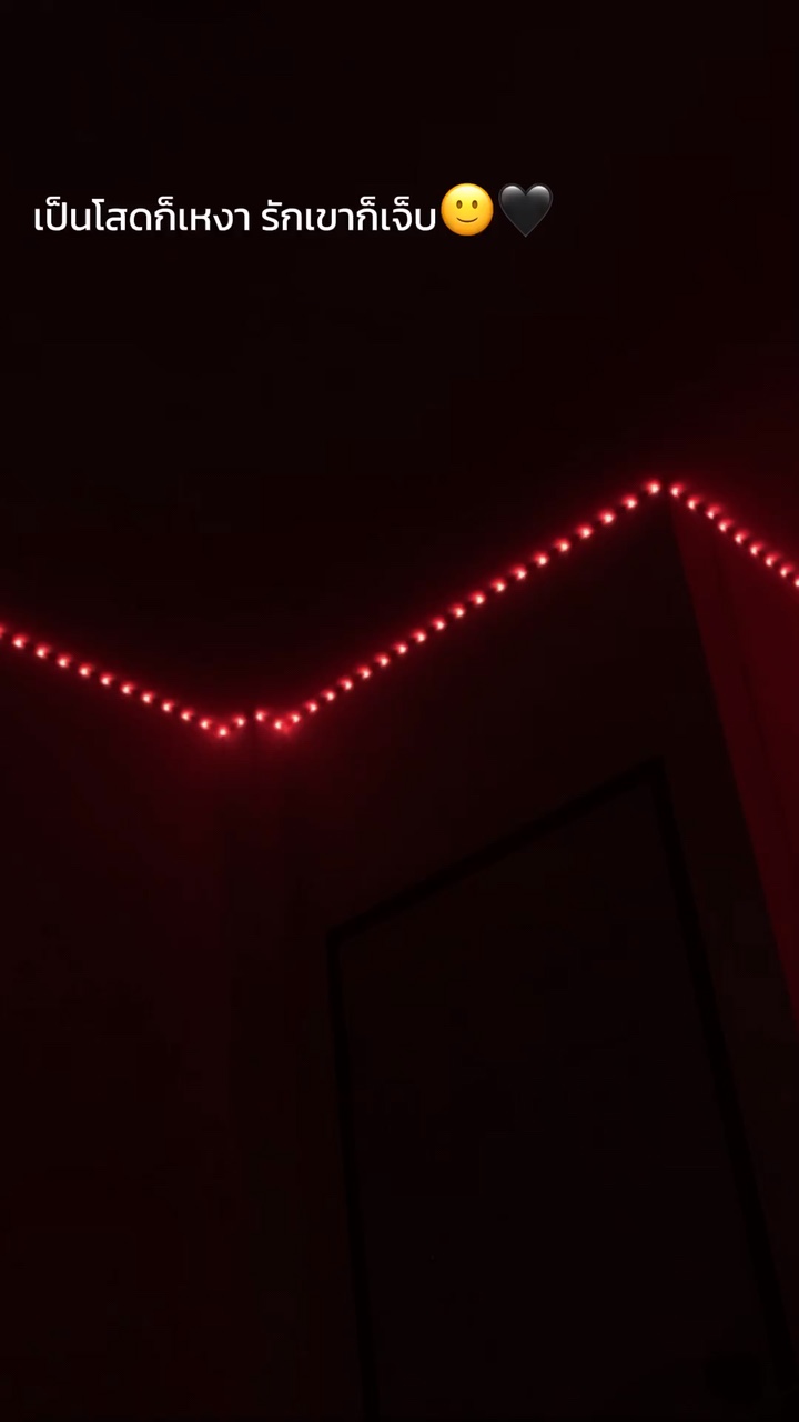 โสดก็เหงา