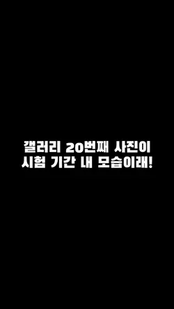 시험기간 힘내세요!!!