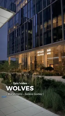 2 picc - Wolves