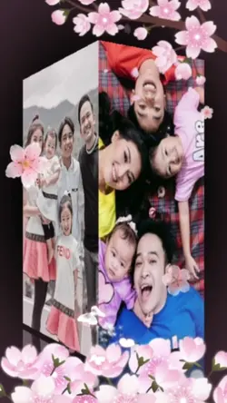 Transisi family