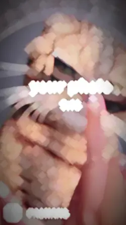 ชอบสัตว์เลี้ยงไรกัน