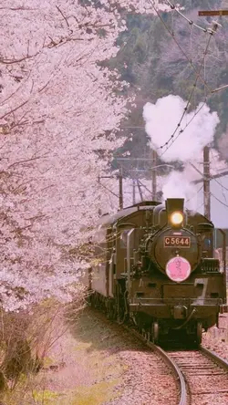 サンプル写真7枚